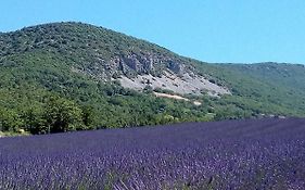 Gite La Fleur d'Olivier