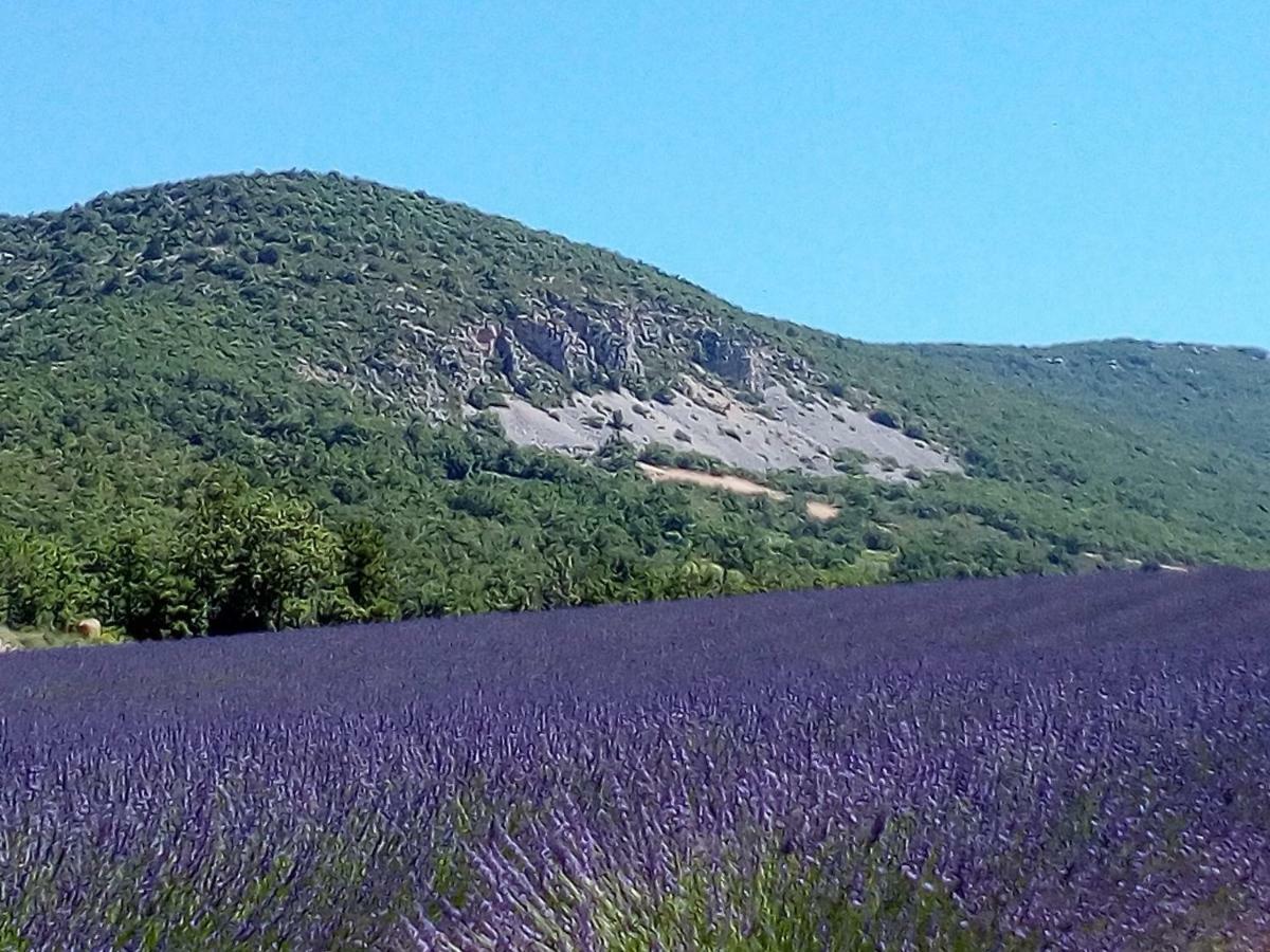 Gite La Fleur d'Olivier Nyons Extérieur photo