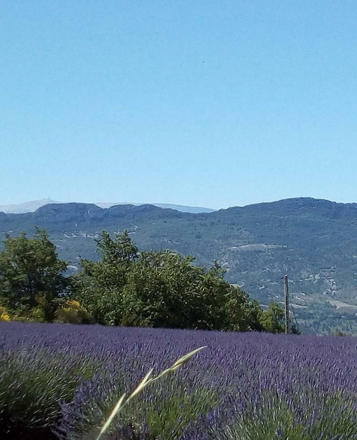 Gite La Fleur d'Olivier Nyons Extérieur photo